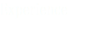 Experience